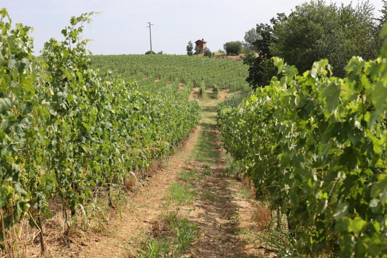 Braida Wine Resort Rocchetta Tanaro 외부 사진