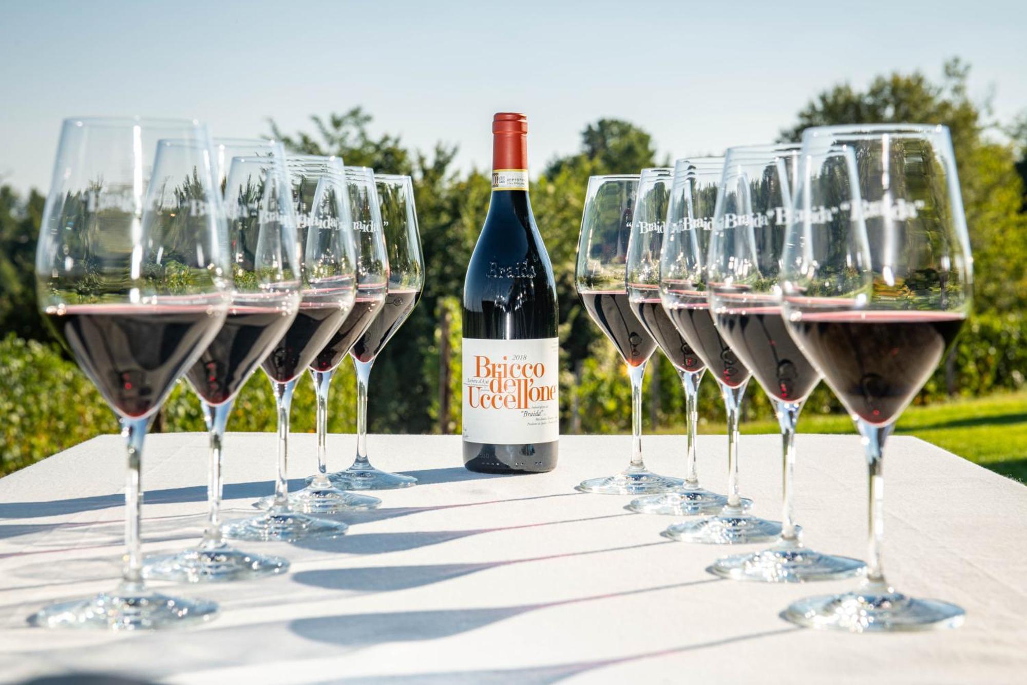 Braida Wine Resort Rocchetta Tanaro 외부 사진