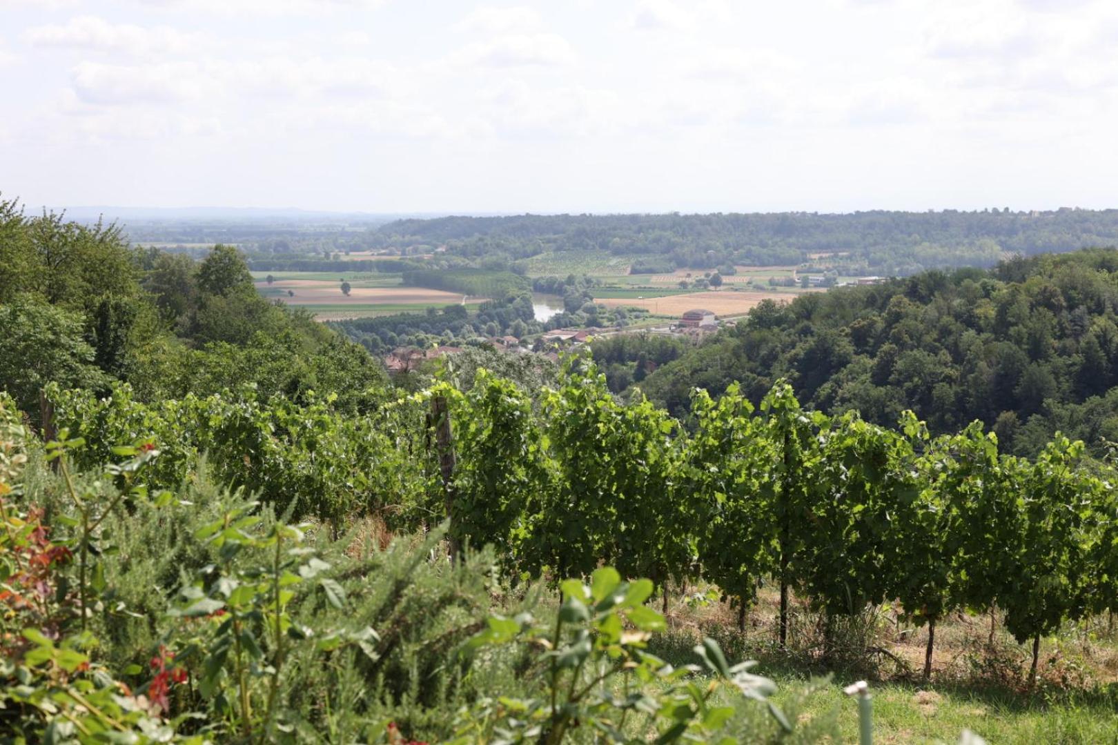 Braida Wine Resort Rocchetta Tanaro 외부 사진